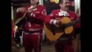 Gema con el mariachi Voz de México