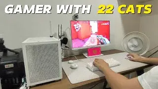 🎮 GAMER Life with 22 CATS – Living the Introvert Dream