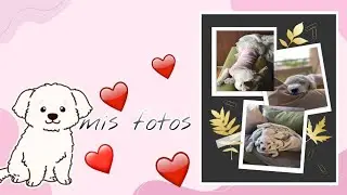 ☺️Primer Video [Mostrando mis Fotos]☺️