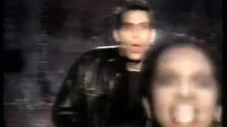 Jamie J. Morgan - Walk On the Wild Side