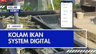 Kolam Ikan Digital