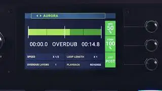 HeadRush Pedalboard Tutorials | Looper
