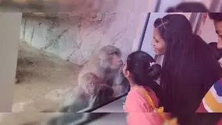 🥰Day Out At Arabian Wildlife Center🥰
