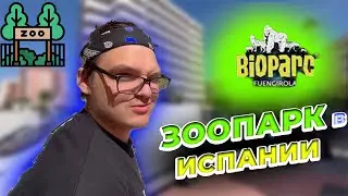 Посетили 