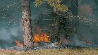Setting Joint Base Cape Cod on Fire To Prevent Wildfires