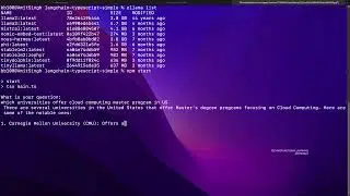 Ollama+Mistral (Ollama Example 4): Langchain and Simple Typescript.