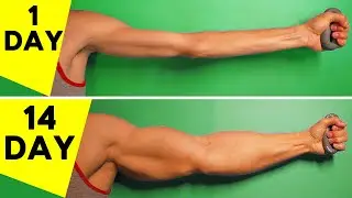 🔥 Only 5 Exercises To Replace Gym | Workout at Home
