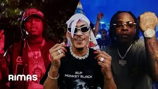 Kiko El Crazy, Braulio Fogon, EL YALA, Monkey Black - Con Una Casa En El Cuello (Video Oficial)