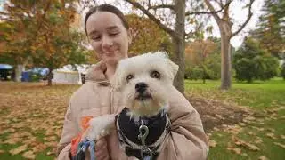 Walk to fight animal cruelty!