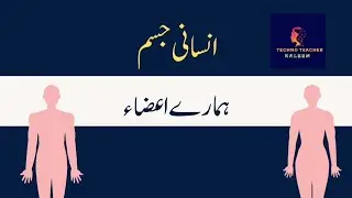 Project: Human body (Our Organs) in Urdu download below  #school #science #projects