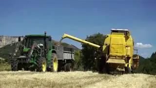 Filière Petit Epeautre de Haute Provence