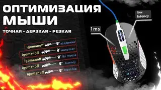Оптимизация мыши / убираем задержку - input lag