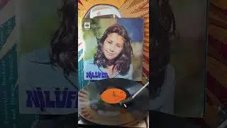 Nilüfer - dünya dönüyor (1974 dönemi)