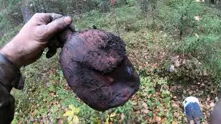 Коп по войне.Серия 12! Новые места!
