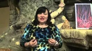 Higher education. Training. Natalia Vesna