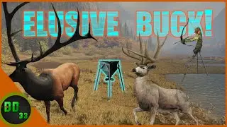 Hunting The Coolest Bull Elk and Most Elusive Blacktail Buck On A Feeder! Call Of The Wild