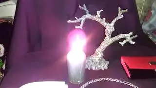 ЛАВР ДАФНА НА ДЕНЬГИ  ДЛЯ ВСЕХ  ВЕДЬМИНА ИЗБА ▶️ ИНГА ХОСРОЕВА