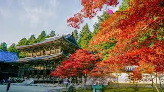 Engyoji Temple, Hyogo