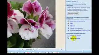 Как изменить картинку с помощью Picture Manager.