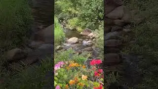 Nature river original sounds |NCM| #shoretvideo