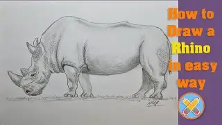 how to draw a rhino