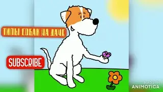 ТИПЫ СОБАК НА ДАЧЕ | Matvey Pets