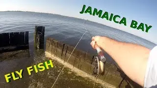 Fly Fishing NEW YORK CITY in JAMAICA BAY NY for Fluke - SUMMER FLOUNDER - Flatfish in NYC