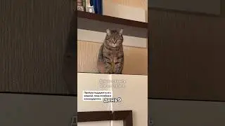 День9. Мы теперь друзья?