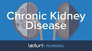 Chronic Kidney Disease: Patho, Causes, & Complications