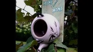 How to Make a Bird House from a Tea Pot