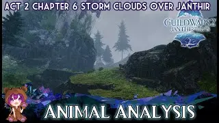 GW2 Animal Analysis achievement (Chapter 6 Storm Clouds over Janthir )