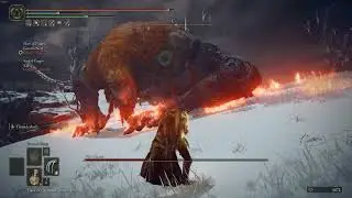 ELDEN RING - Helping Strangers with Boss Fight(Fire Giant)