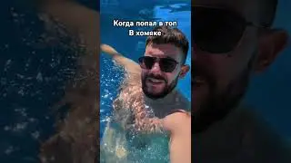 попал в топ в хомяке