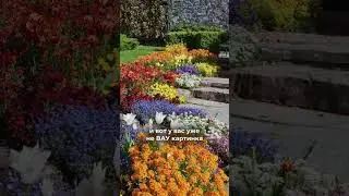 Белые цветы в цветниках ❌ 
