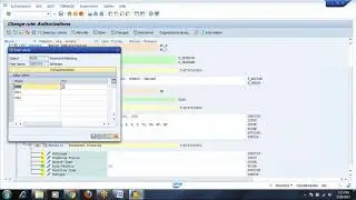 Day 8 - Org Fields, Auth Objects Status and  Expert Mode in SAP Security