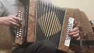Чайка_2