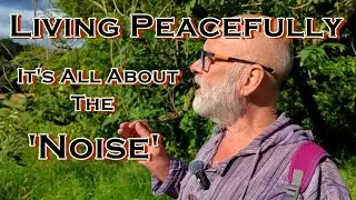 Living Peacefully | It's all About the 'Noise'