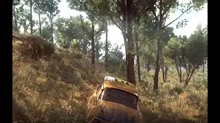 How to kill a car in Dirt Rally 2.0
