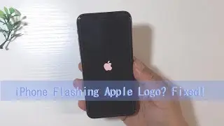 [4 Ways] How to Fix iPhone Flashing Apple Logo 2023