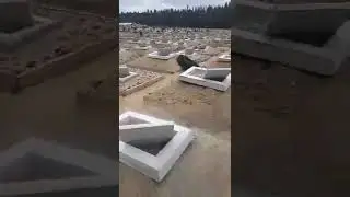 Гурхои точикон дар Русия 😥😥