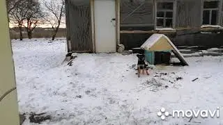 Моё утро сегодня