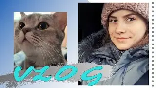 VLOG: кавер, встреча одноклассников, кино | часть 2