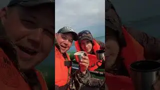 2 июня 2024 г.