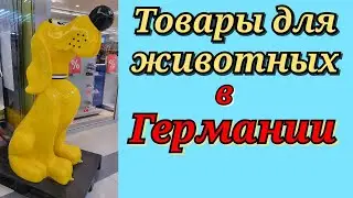 German pet shop! Ukrainians in Germany