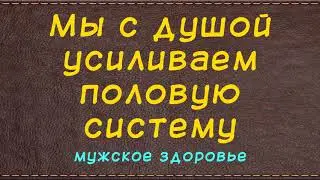 Мы с душой усиливаем половую систему - мужское здоровье