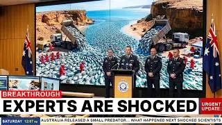 Australia Released a Small Predator… What Happened Next Shocked Scientists