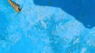 Did you see that