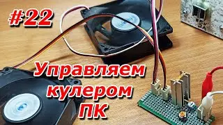 #22. Управляем кулером ПК (Ты ЖУ-ЖУ, но только тихо...)