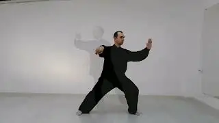 Тайцзицюань. Мысль двигает энергию, энергия двигает тело.