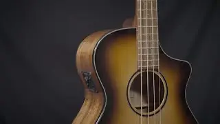 Breedlove Discovery S Concert Edgeburst Bass CE